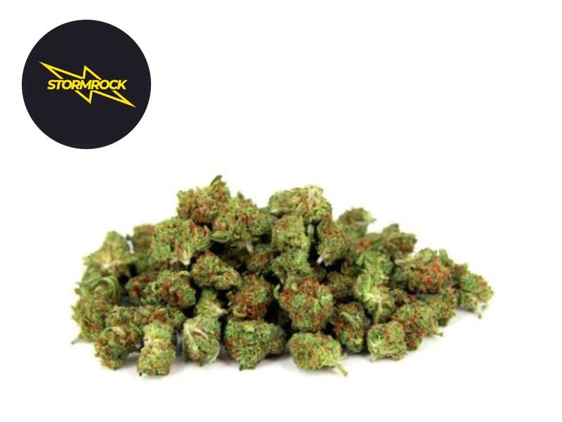 Fleurs CBD Fleur Mini-Bud Premium CBD Indoor 15% Stormrock