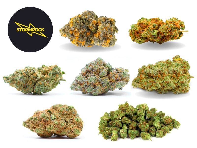 Fleurs CBD Pack Stormbox Fleurs VIP Edition Stormrock