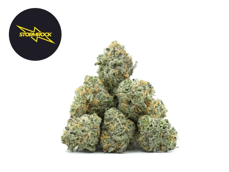 Fleurs CBD Fleur Pop Corn Lemon Tonic CBD+ Indoor 31% Stormrock