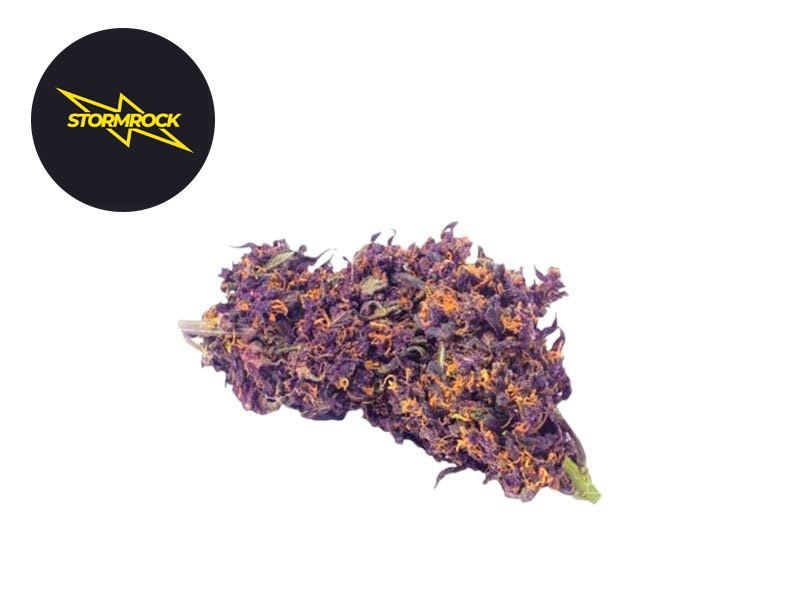Fleurs CBD Fleur Purple Haze CBD Sous serre 9.6% Stormrock