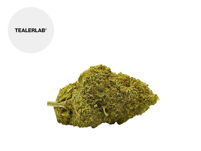 Fleurs CBD Fleur Amnesia CBD Indoor 12% TealerLab