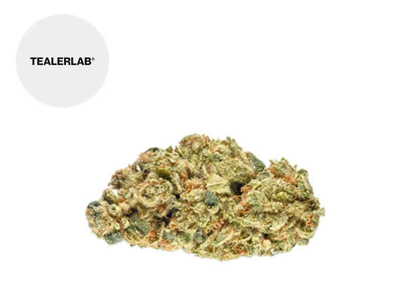 Fleurs CBD Fleur Green Haze THM Indoor 16% TealerLab