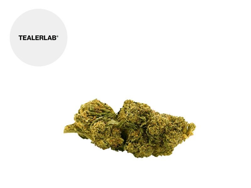 Fleurs CBD Fleur Lemon skunk CBD Outdoor 12% TealerLab