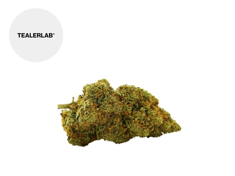 Fleurs CBD Fleur Strawberry Diesel CBD Indoor 13% TealerLab
