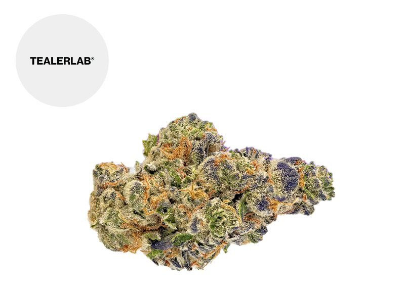 Fleurs CBD Fleur Super Zkunk THM Indoor 25% TealerLab