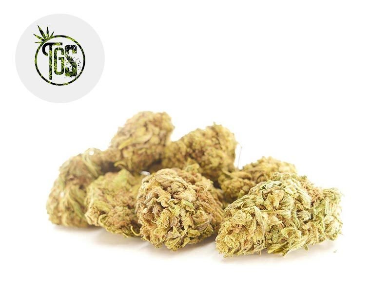 Fleurs CBD Fleur ACDC CBD Sous serre 9% The Green Store