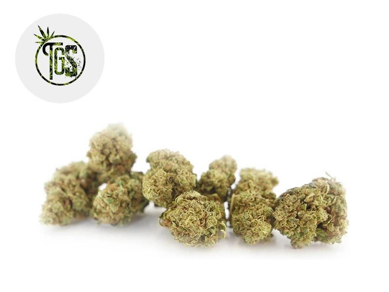 Fleurs CBD Fleur Blue Dream 2 CBD Sous serre 6% The Green Store