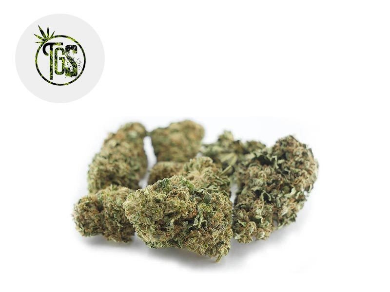 Fleurs CBD Fleur Blue Dream CBD Outdoor 5% The Green Store