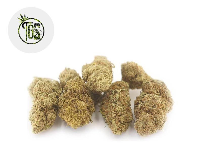Fleurs CBD Fleur Bruce Banner CBD Indoor 7% The Green Store