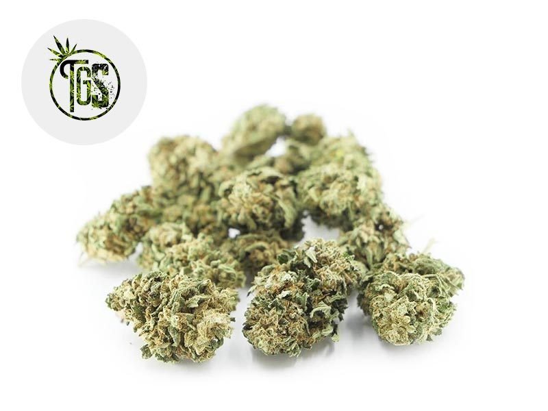 Fleurs CBD Fleur Bubba Kush CBD Outdoor 4% The Green Store