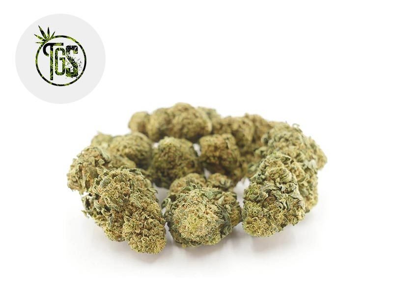 Fleurs CBD Fleur Bubble Gum CBD Sous serre 4% The Green Store
