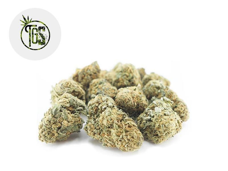 Fleurs CBD Fleur Cannatonic CBD Sous serre 7% The Green Store