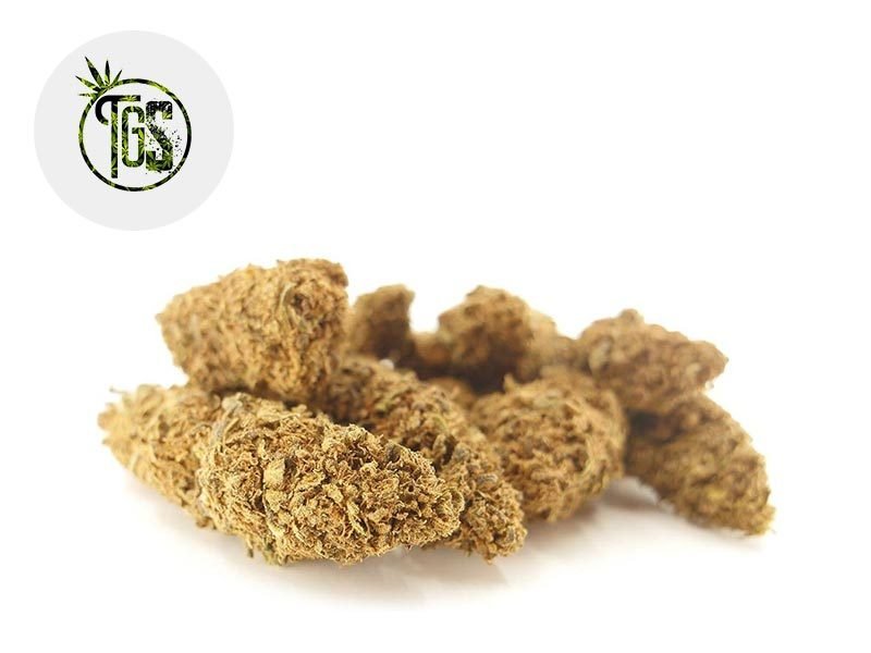 Fleurs CBD Fleur Charlotte Web CBD Sous serre 5% The Green Store
