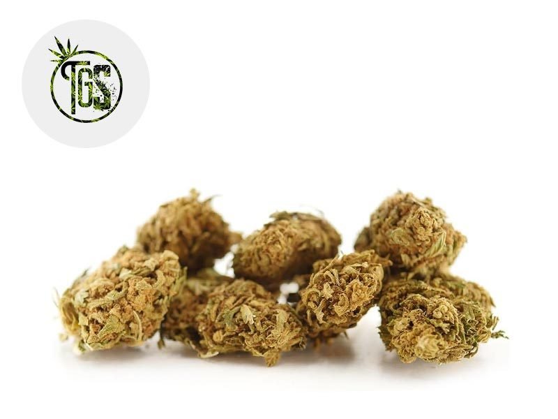 Fleurs CBD Fleur Cherry Pie CBD Outdoor 5% The Green Store