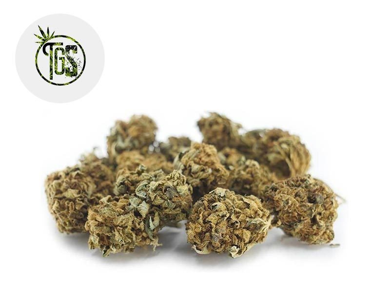 Fleurs CBD Fleur Critical CBD Outdoor 3% The Green Store