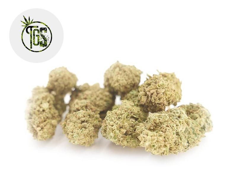 Fleurs CBD Fleur Hariboz CBD Indoor 7% The Green Store