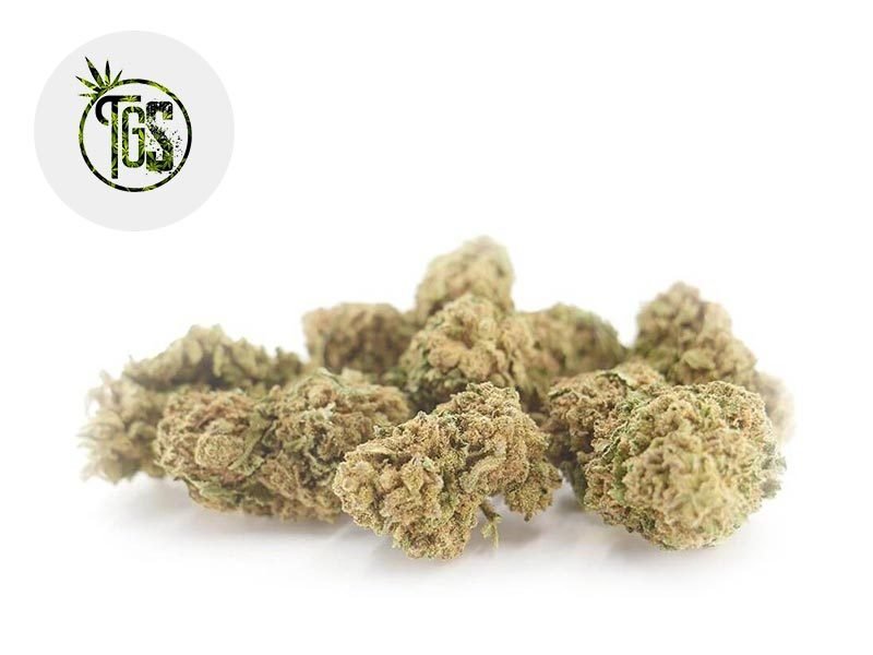 Fleurs CBD Fleur Harlequin Plus CBD Sous serre 4% The Green Store