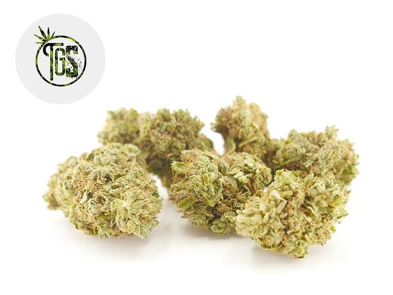 Fleurs CBD Fleur OG Kush CBD Indoor 5% The Green Store