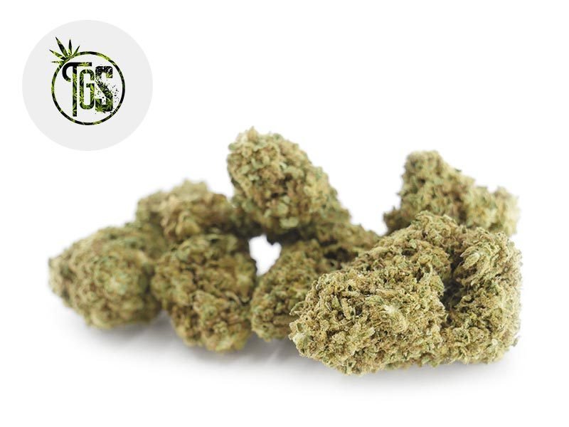 Fleurs CBD Fleur Remedy CBD Sous serre 7% The Green Store