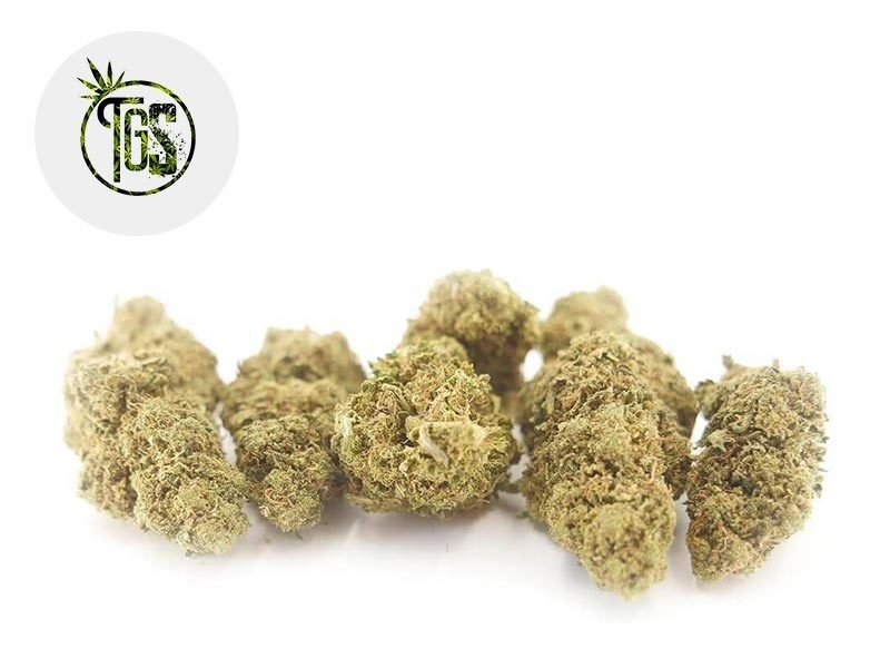 Fleurs CBD Fleur Skittlez CBD Indoor 6% The Green Store