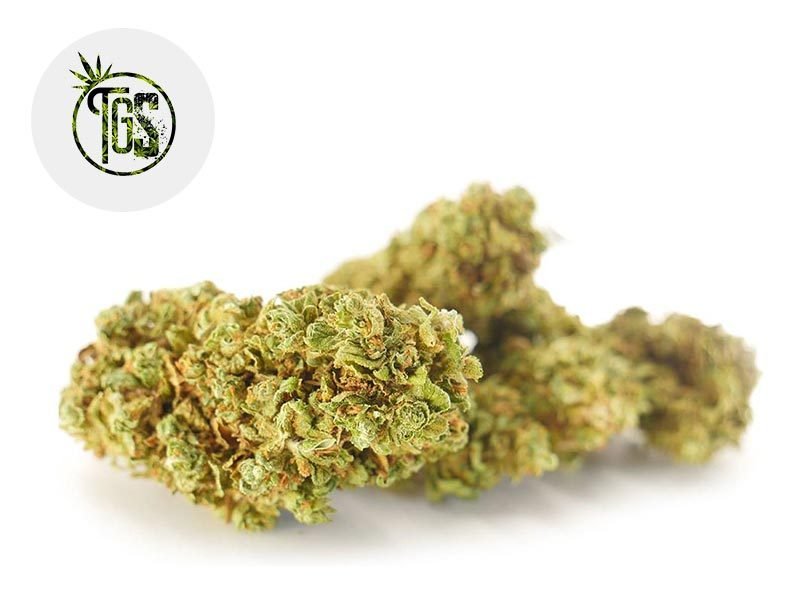 Fleurs CBD Fleur Sour Skunk 2 CBD Sous serre 6% The Green Store