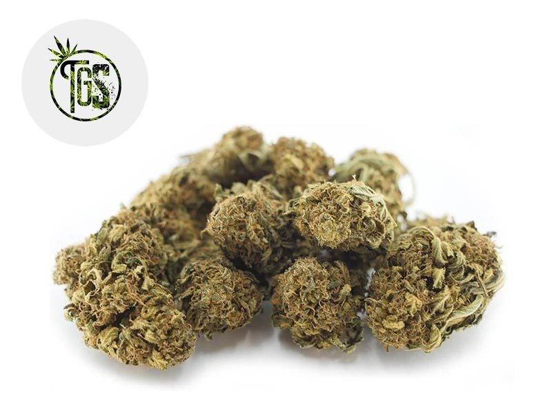Fleurs CBD Fleur Sour Widow CBD Outdoor 5% The Green Store