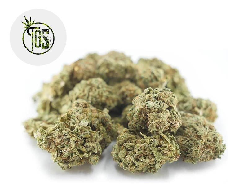 Fleurs CBD Fleur Strawberry CBD Sous serre 5% The Green Store