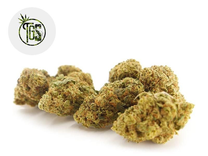 Fleurs CBD Fleur Strawberry Diesel CBD Indoor 4% The Green Store