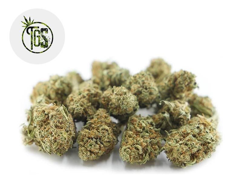 Fleurs CBD Fleur Strawberry Haze CBD Sous serre 6% The Green Store