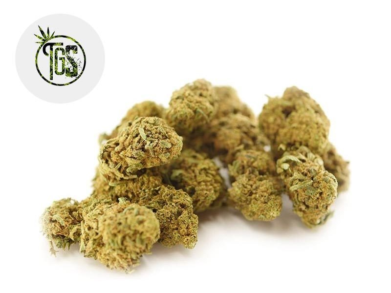Fleurs CBD Fleur Super Lemon Haze CBD Indoor 13% The Green Store