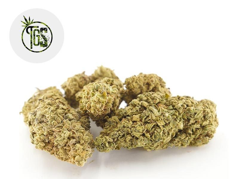 Fleurs CBD Fleur Vanilla Kush CBD Indoor 5% The Green Store