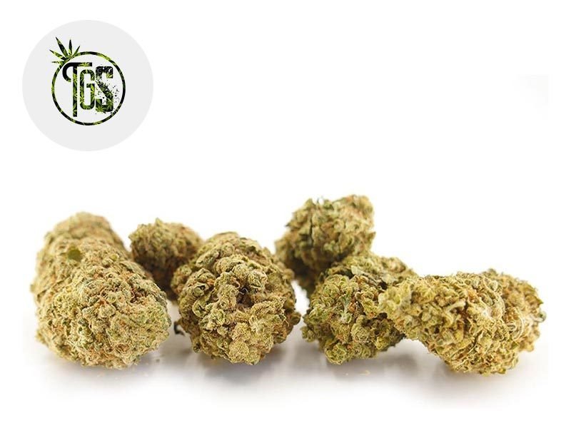 Fleurs CBD Fleur Watermelon Cookies CBD Indoor 3% The Green Store