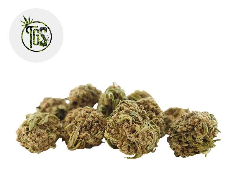 Fleurs CBD Fleur White Widow CBD Sous serre 5% The Green Store