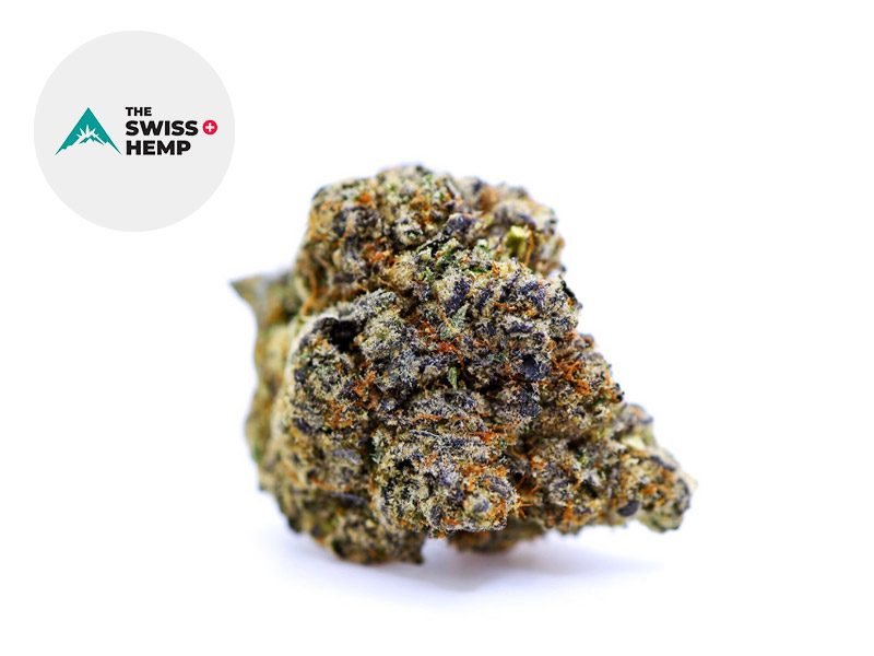 Fleurs CBD Fleur Critical Kush CBD Indoor 19% The Swiss Hemp