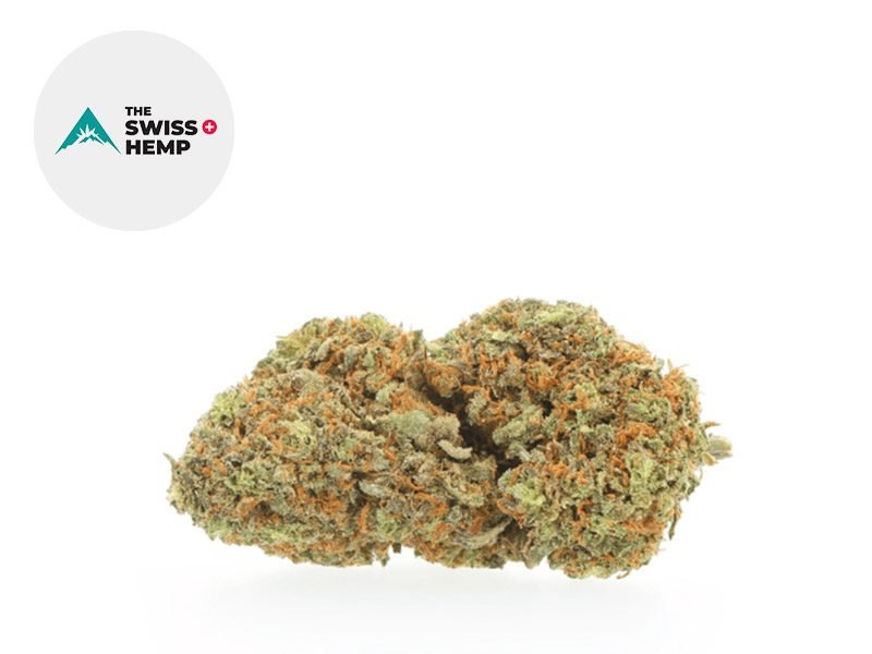 Fleurs CBD Fleur Power Kush CBD Outdoor 15% The Swiss Hemp