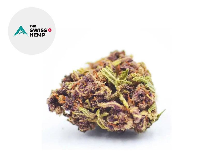 Fleurs CBD Fleur Purple Punch CBD Sous serre 18% The Swiss Hemp