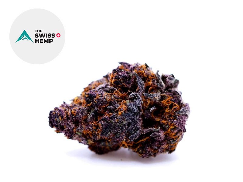 Fleurs CBD Fleur Queen Purple CBD Indoor 25% The Swiss Hemp