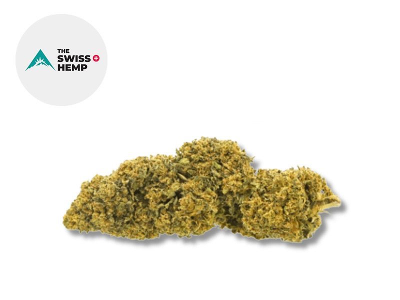 Fleurs CBD Fleur Swiss Cheese CBD Outdoor 14% The Swiss Hemp