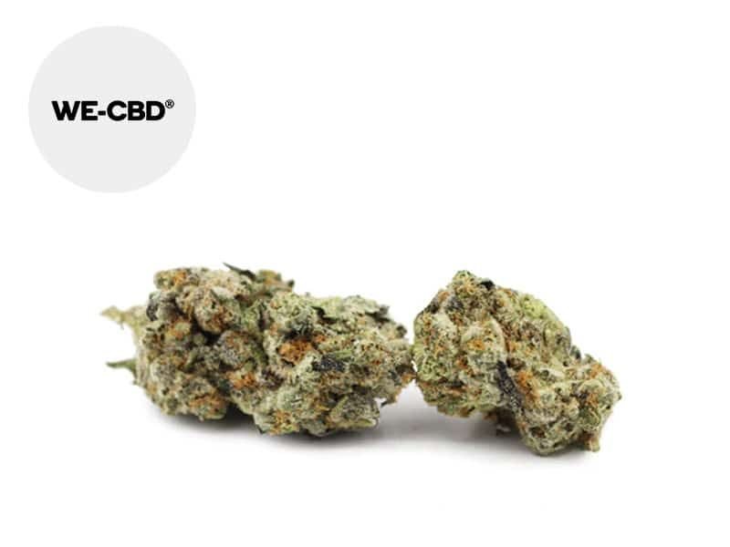 Fleurs CBD Fleur Harlequin CBD Indoor 20% We-CBD
