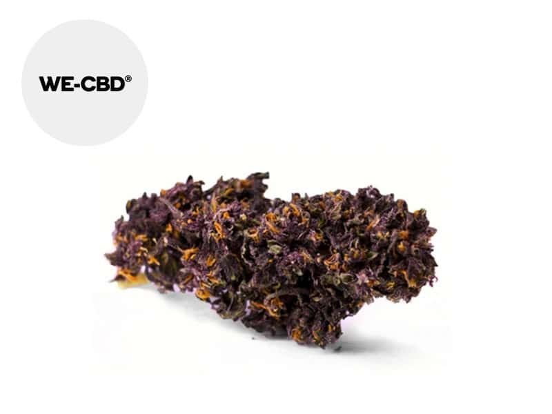Fleurs CBD Fleur Purple Haze CBD 50g Indoor 20% We-CBD