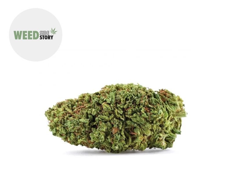 Fleurs CBD Fleur Blue Dream CBD+ Indoor 32% Weed Side Story