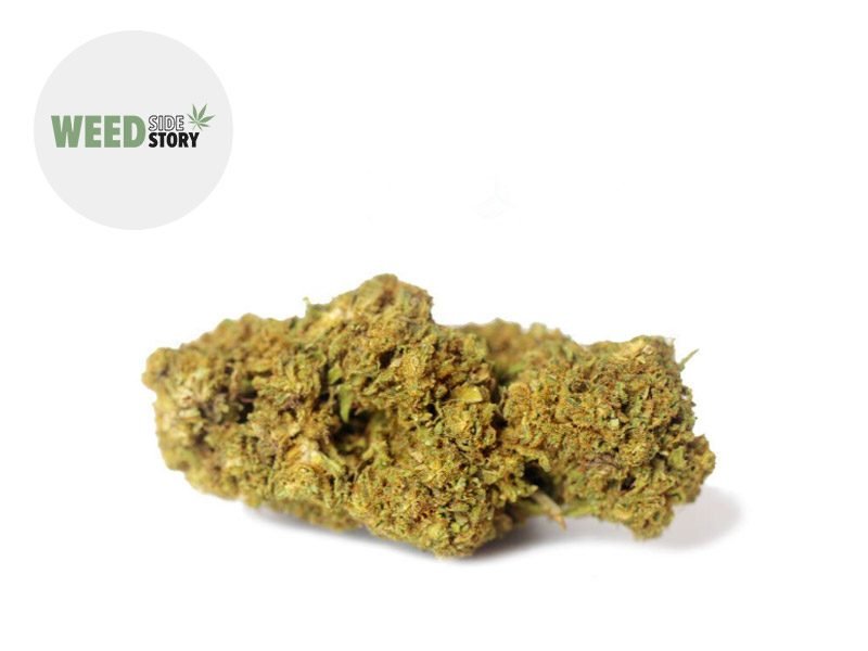 Fleurs CBD Fleur Supreme Widow CBD Sous serre 26% Weed Side Story