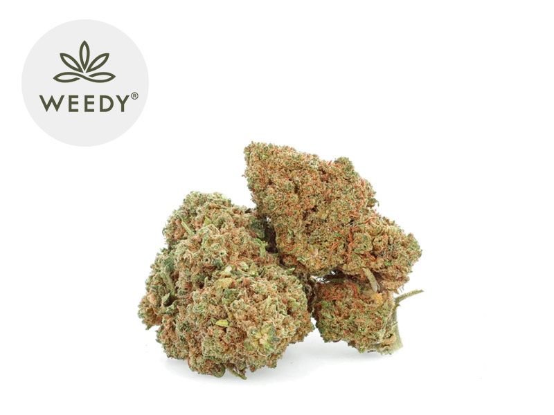 Fleurs CBD Fleur Amnesia Haze CBD Indoor 14% Weedy