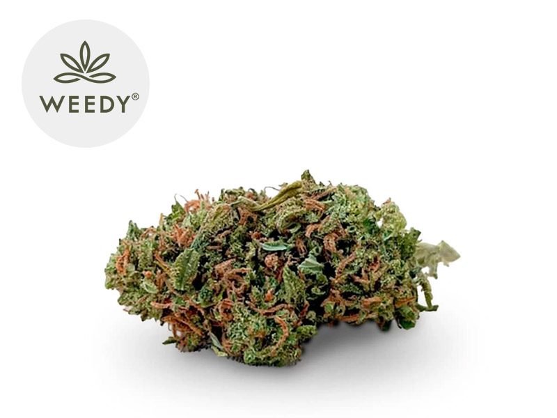 Fleurs CBD Fleur Caramel Candy CBD Indoor 14% Weedy
