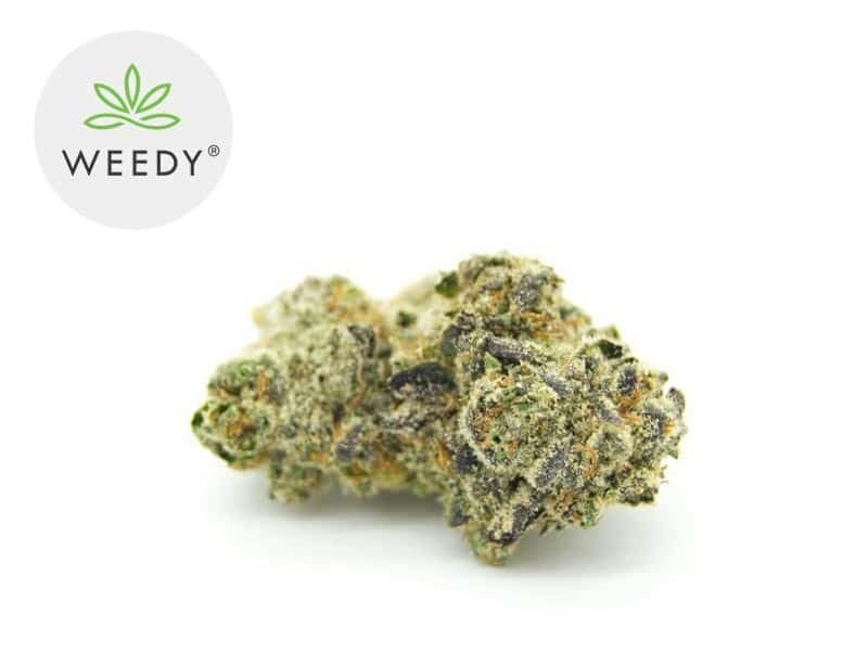Fleurs CBD Fleur Green Gelato CBD Indoor 10% Weedy