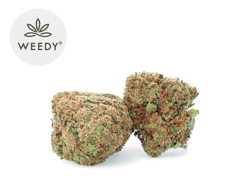 Fleurs CBD Fleur Harlequin CBD Sous serre 14% Weedy