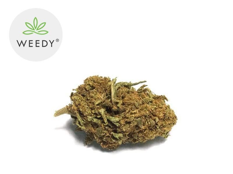Fleurs CBD Fleur Orange Bud CBD Sous serre 10% Weedy