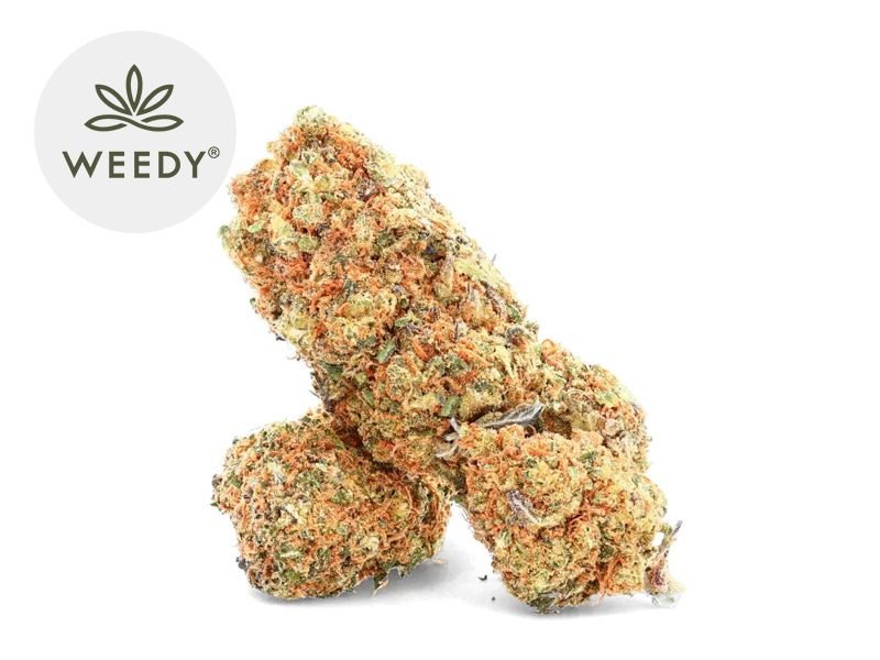 Fleurs CBD Fleur Pineapple Kush CBD Indoor 18% Weedy
