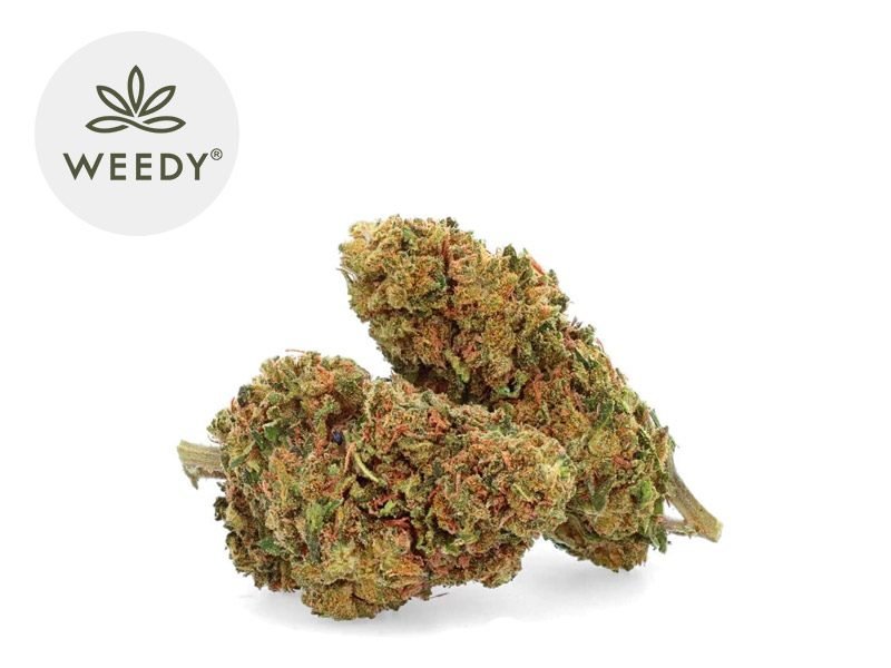 Fleurs CBD Fleur Remedy CBD Indoor 12% Weedy