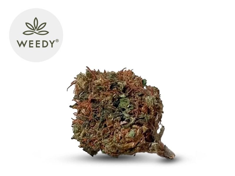 Fleurs CBD Fleur Sweet Karma CBD Outdoor 8% Weedy